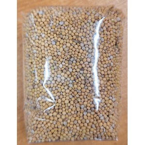 Moutarde jaune graines...