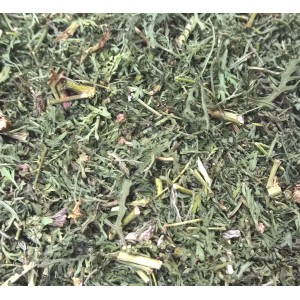 Artemisia abrotanum / vrac